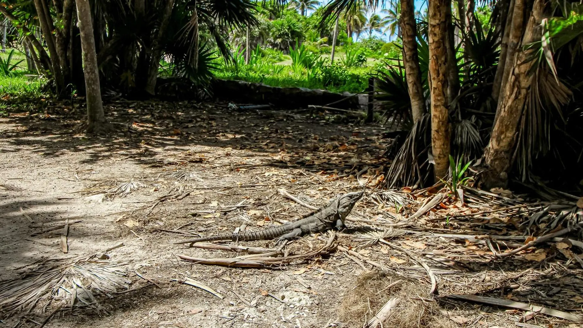 Apartment Botanica Tulum, # 302 Ph, Aldea Zama One Bedroom Mexico